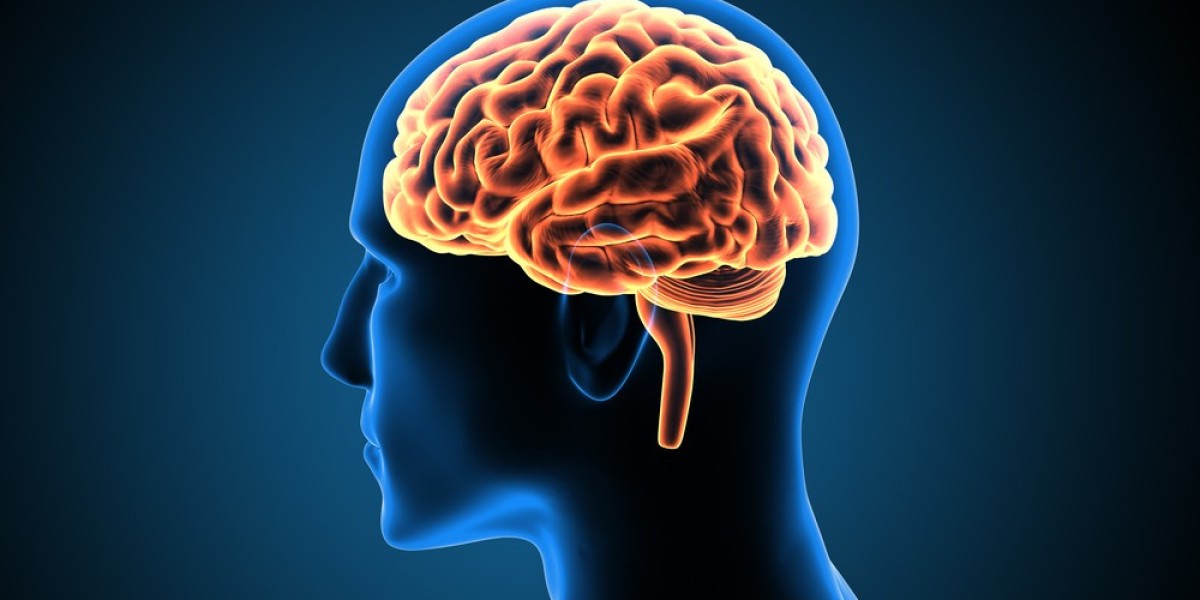 https://www.facebook.com/BrainPlusCanada/