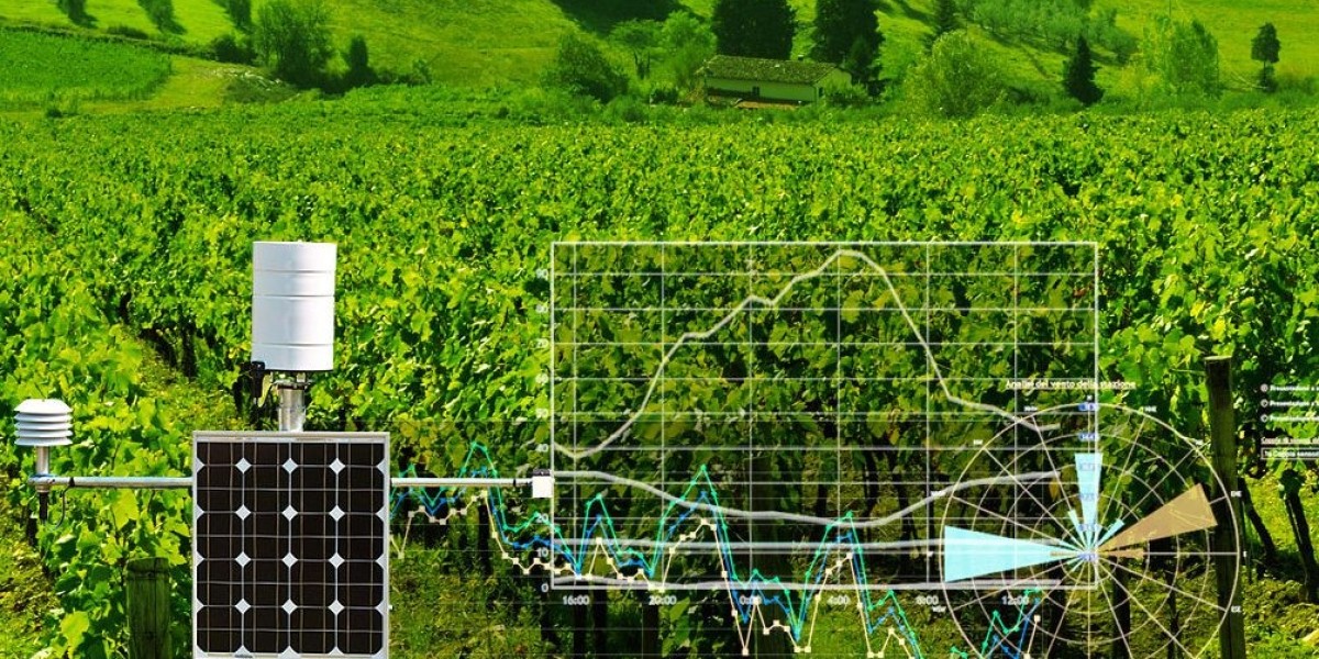 Environmental Pollution Monitor Market Key Trends And Forecast Report 2024-2033