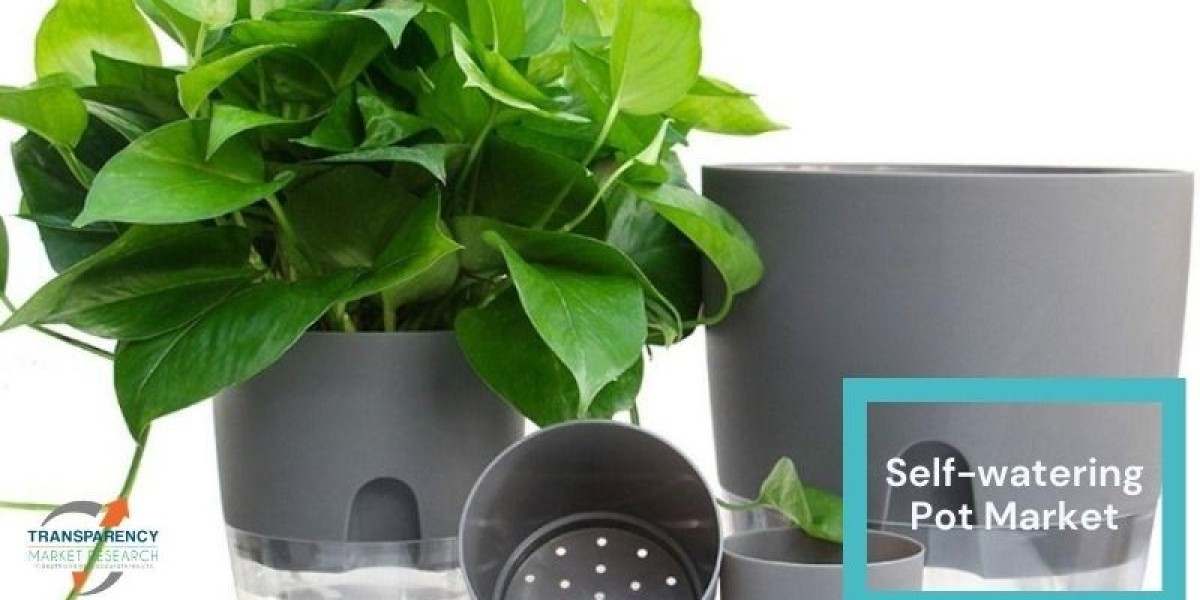 Regional Insights: North America, Europe, and Asia-Pacific Self-Watering Pot Market