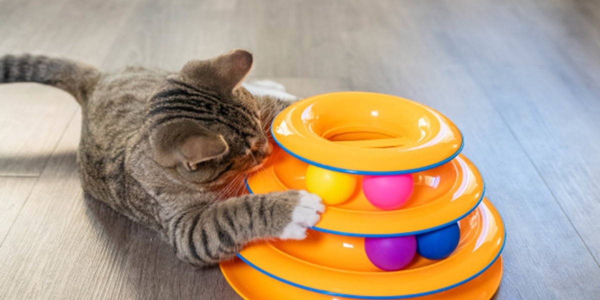 Petstages Tower of Tracks: The Best Cat Play Toy