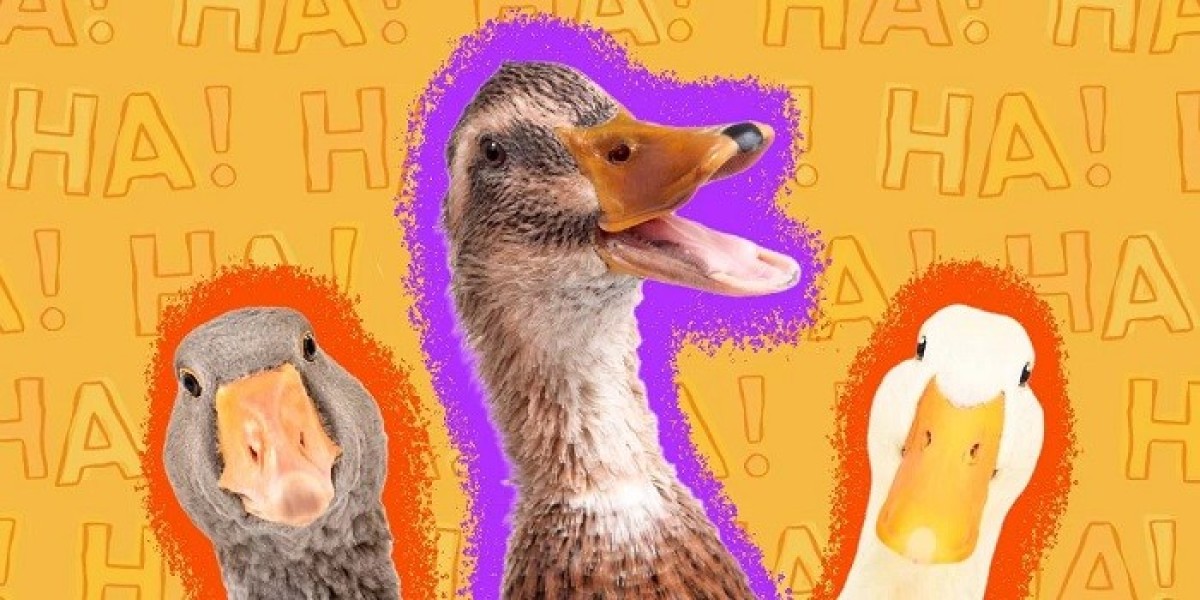 60 Funniest Duck Jokes for Kids & Adults