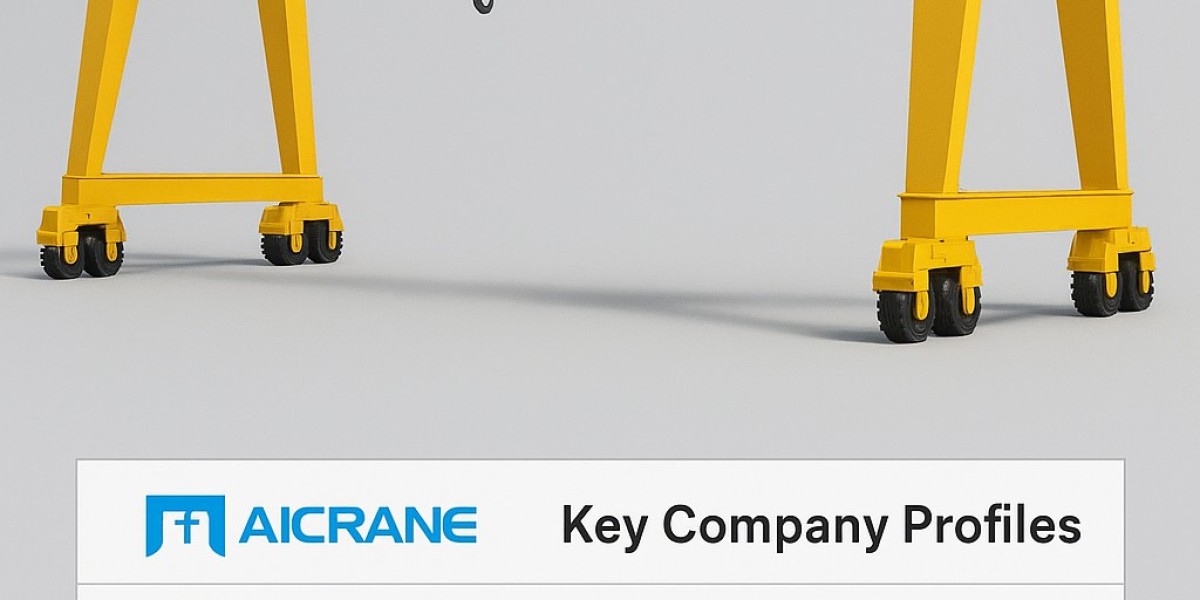 Gantry Crane Market: Robust Growth Driven by Port Infrastructure Expansion & Construction Boom
