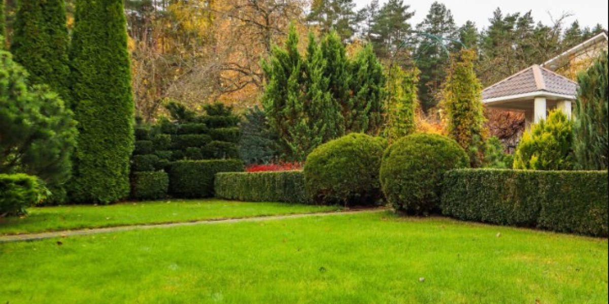 Professional Lawn Care in Oakville