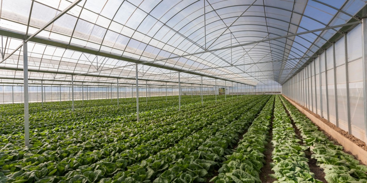 Greenhouse Agricultural Market is set for a Potential Growth Worldwide: Excellent Technology Trends with Business Analys