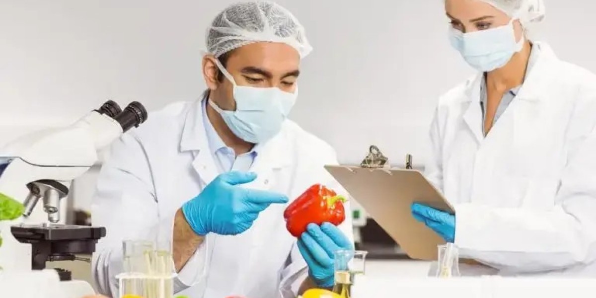 Saudi Arabia Food Safety Testing Market Analysis 2025-2033: Size, Trends & Outlook