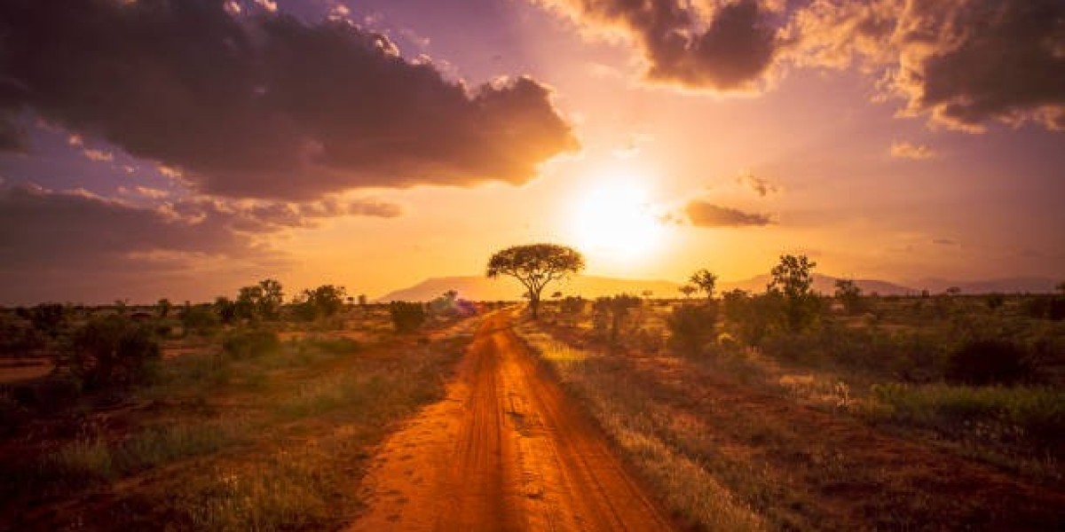 Camping in Kenya: Safari Tents and Wilderness Experiences