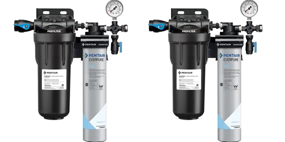 Why Every Restaurant Needs a Commercial Ice Machine Water Filter
