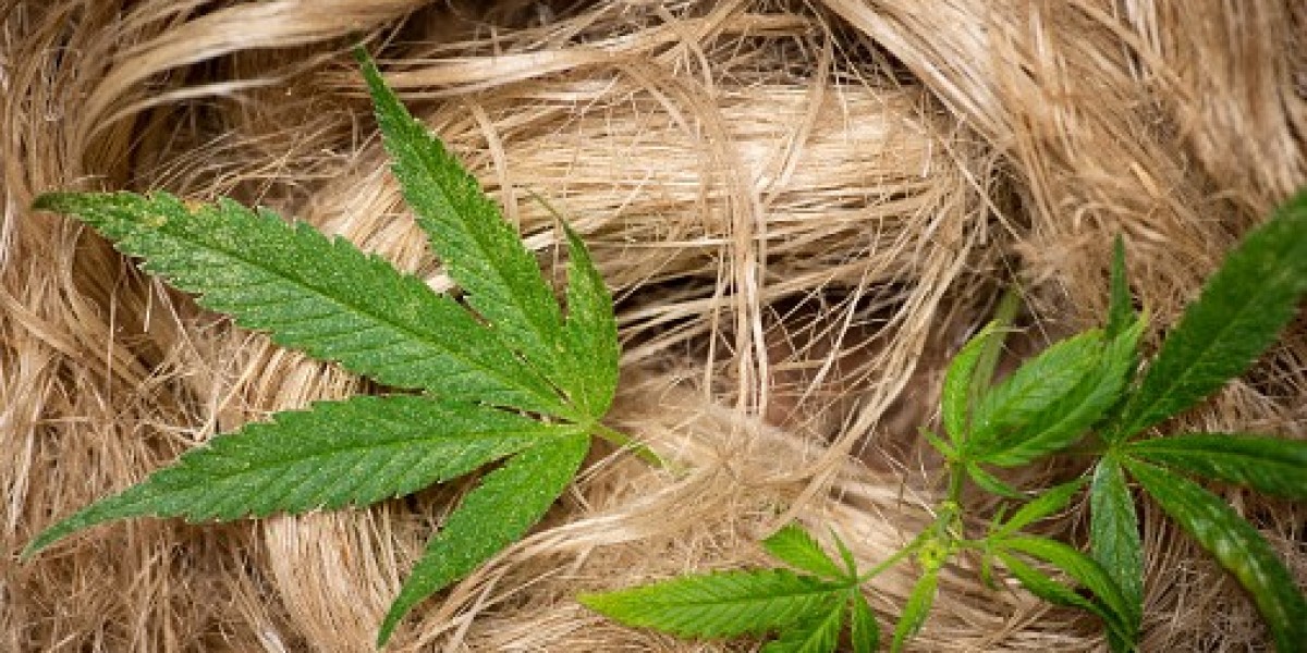 Top Companies Shaping the Hemp Fiber Industry & Market Opportunities Ahead
