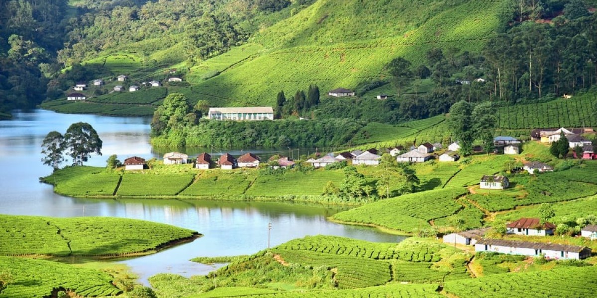 Coimbatore to Munnar Taxi