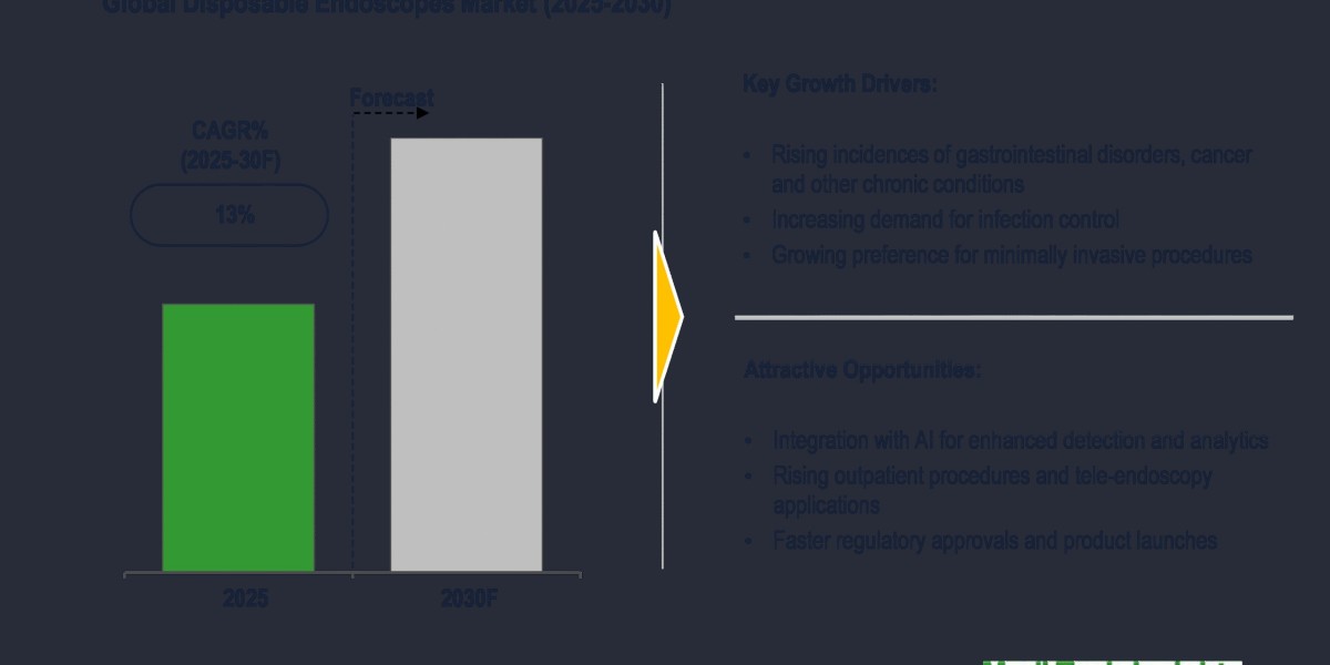 Global Disposable Endoscopes Market Expected Expansion Path Strengthening at 13% CAGR by 2030