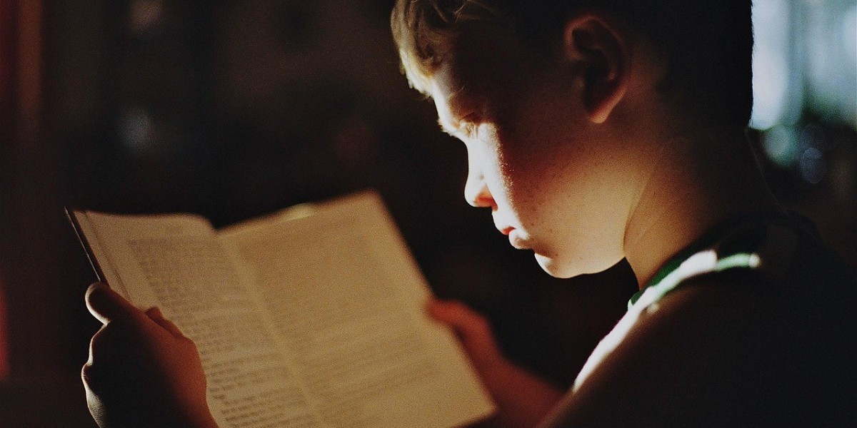 Academic Progress Through Continuous Learning Progress in Education