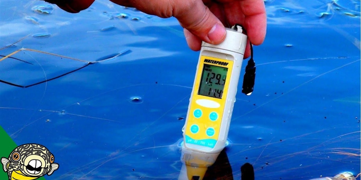 Water Quality Automatic Monitor Market Key Trends And Forecast Report 2024-2033