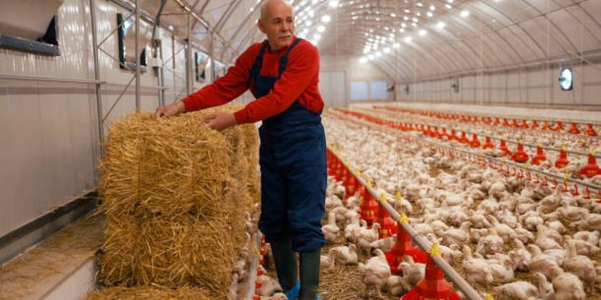 Exploring the Livestock Flooring Market: Trends, Challenges & Opportunities