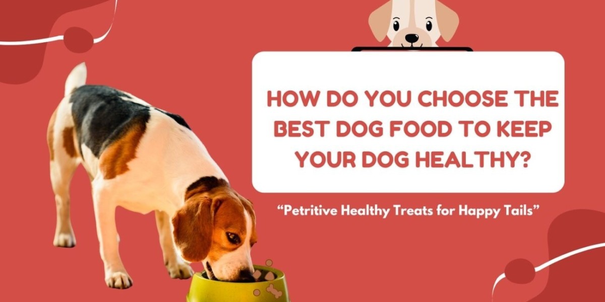 Affordable Dog Treats and Bones for Training in India