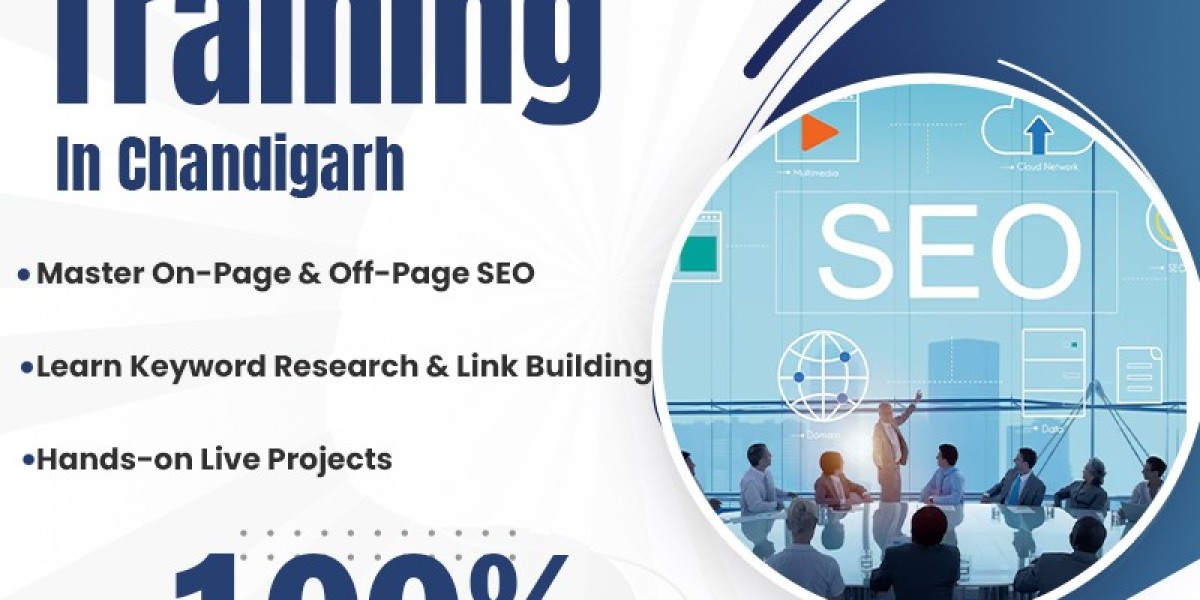 Become an Expert in Search Engine Optimization