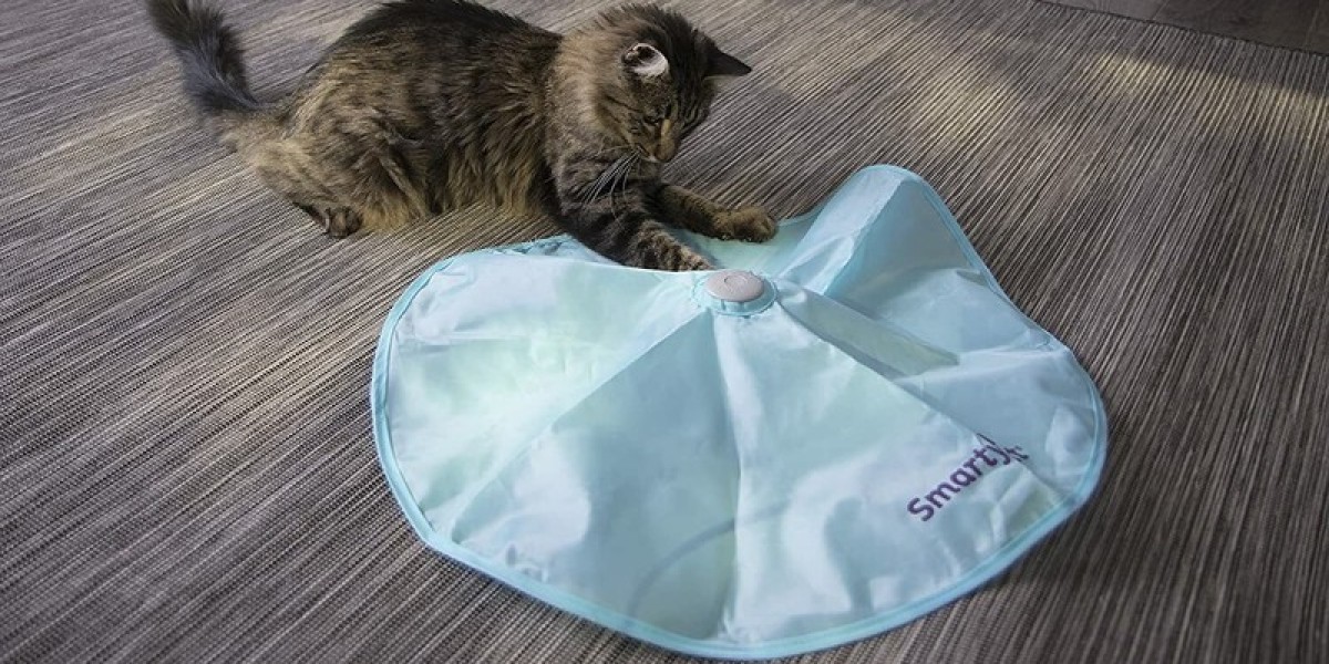 SmartyKat Hot Pursuit: Keeps Your Cats Hooked