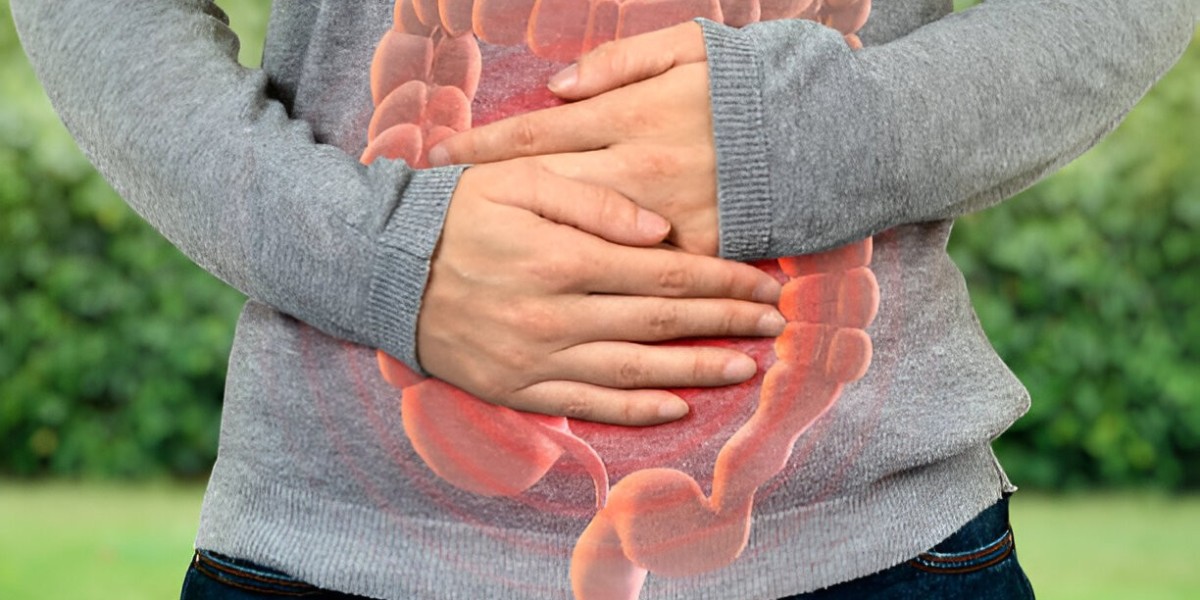 Digestive Health Products: Market Dynamics and Growth Drivers