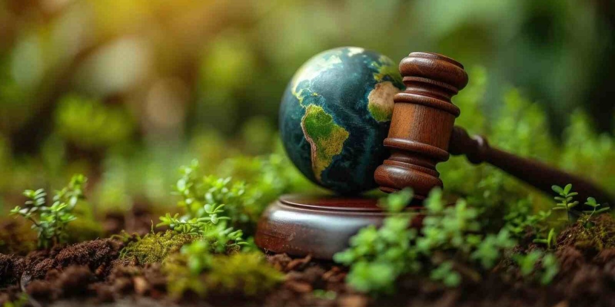 Understanding the C-Suite’s Role in Social and Climate Justice Initiatives