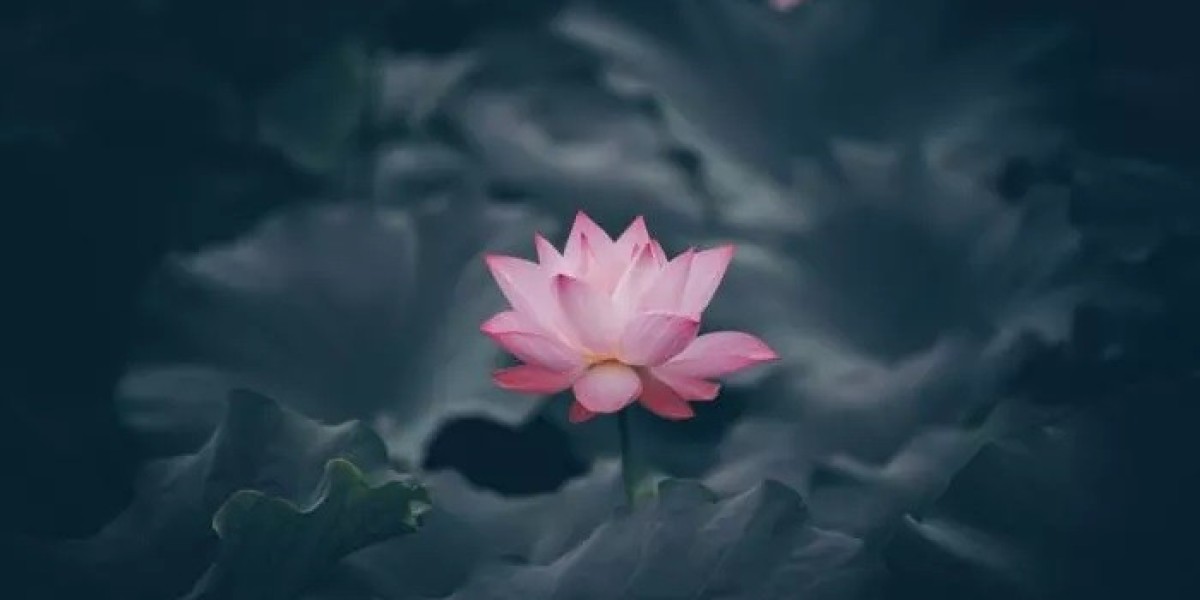 How Does Rose Symbolism Inspire Spiritual Growth?
