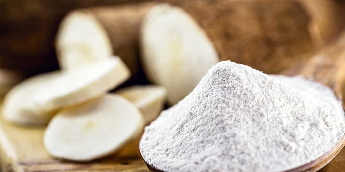 Roll-Dried Starch Market Forecast Highlighting Growth Potential, Industry Applications, and Regional Opportunities