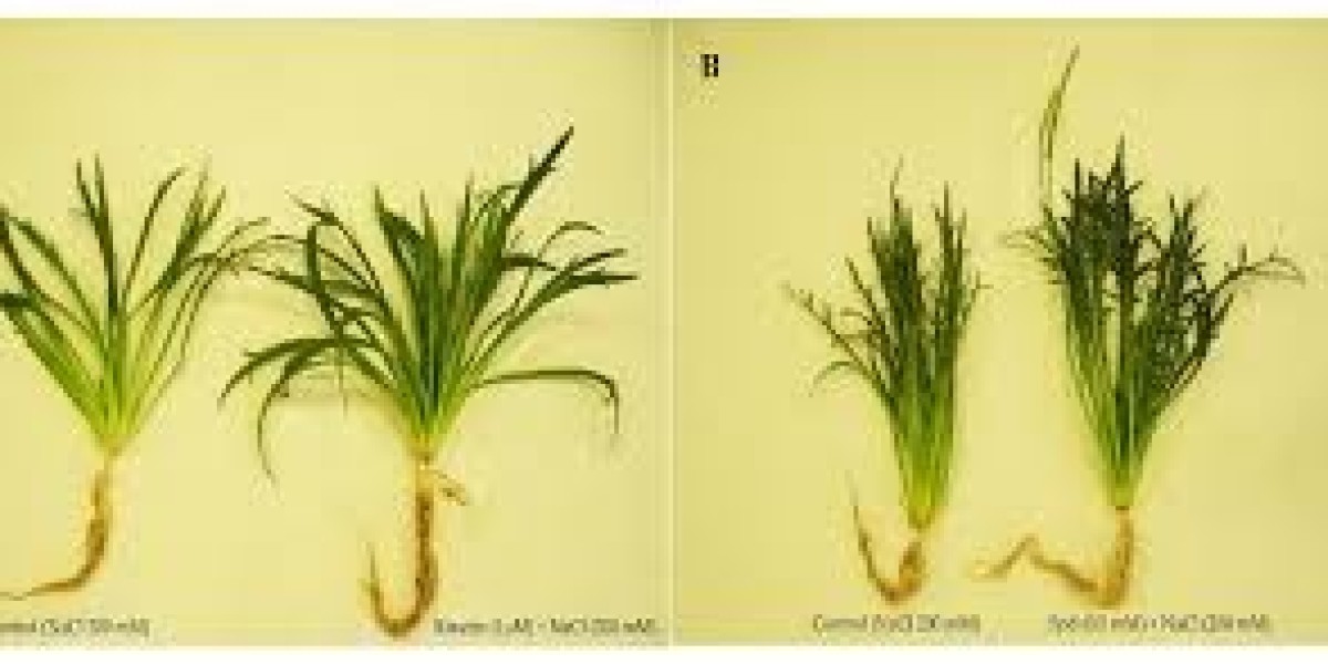 Plant Growth Regulators Market Key Drivers Restraints And Regulatory Landscape Overview