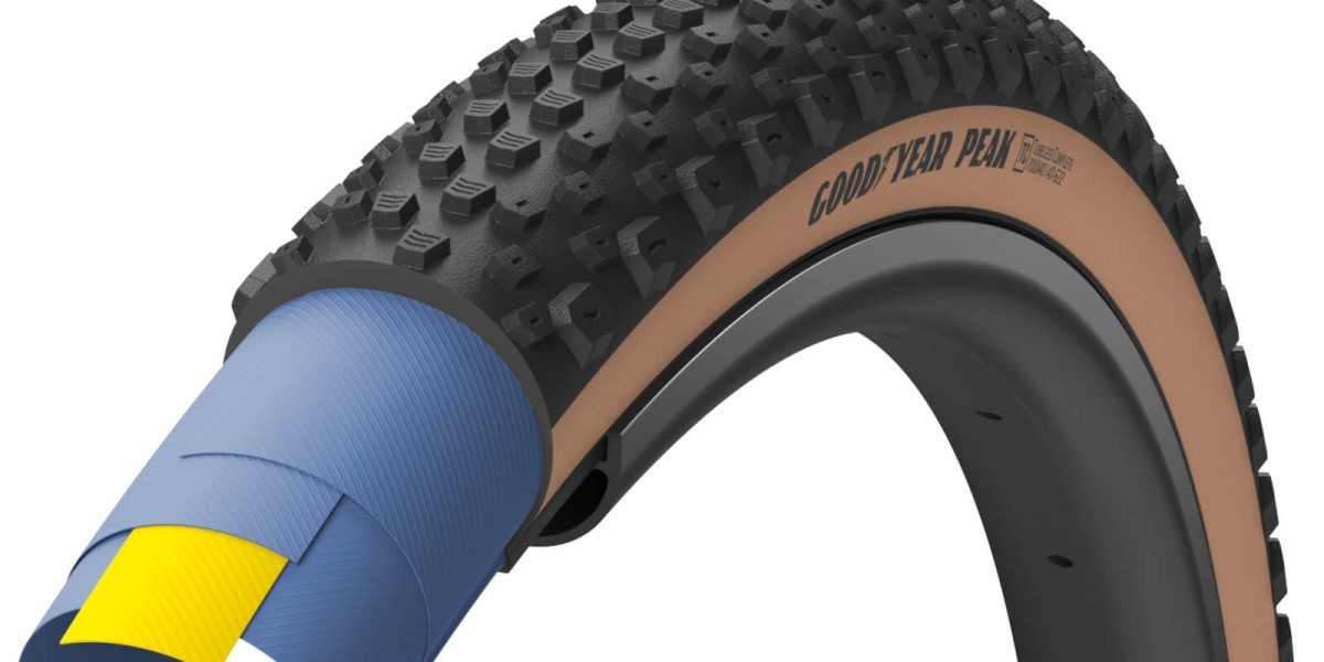 Automotive Tubeless Tire Market Analysis by Vehicle Type & Region