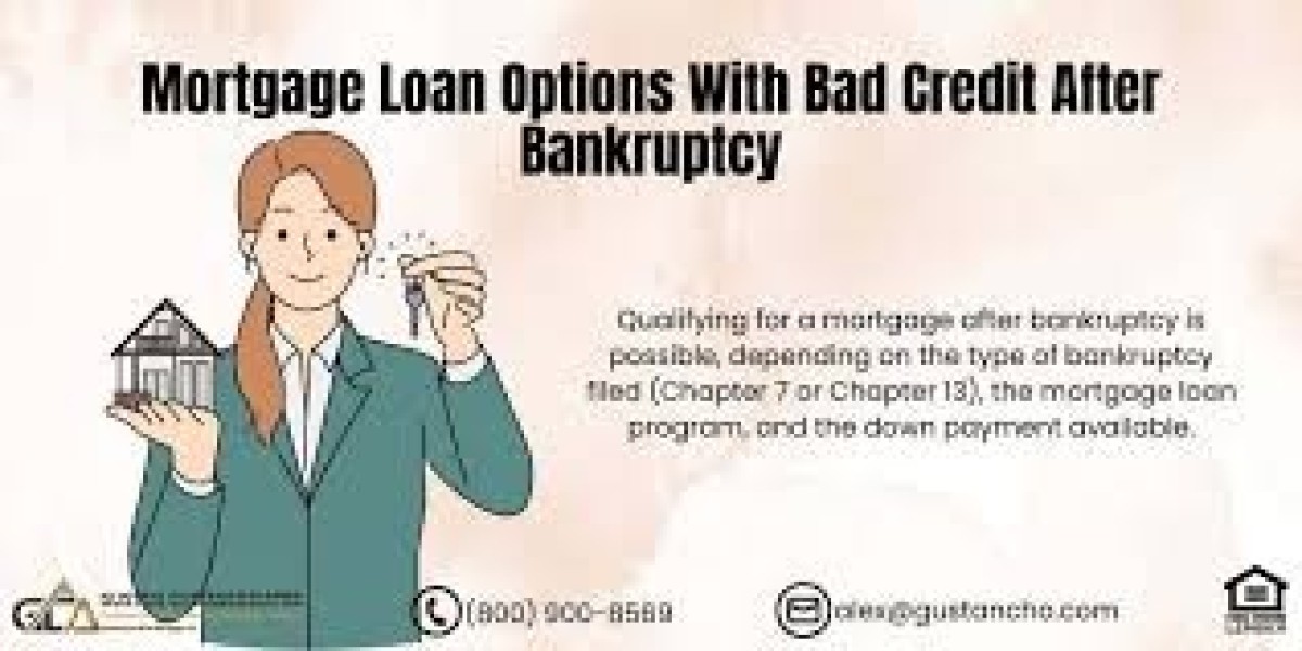 Cannabis Business Financing: No Credit Check Options for Entrepreneurs