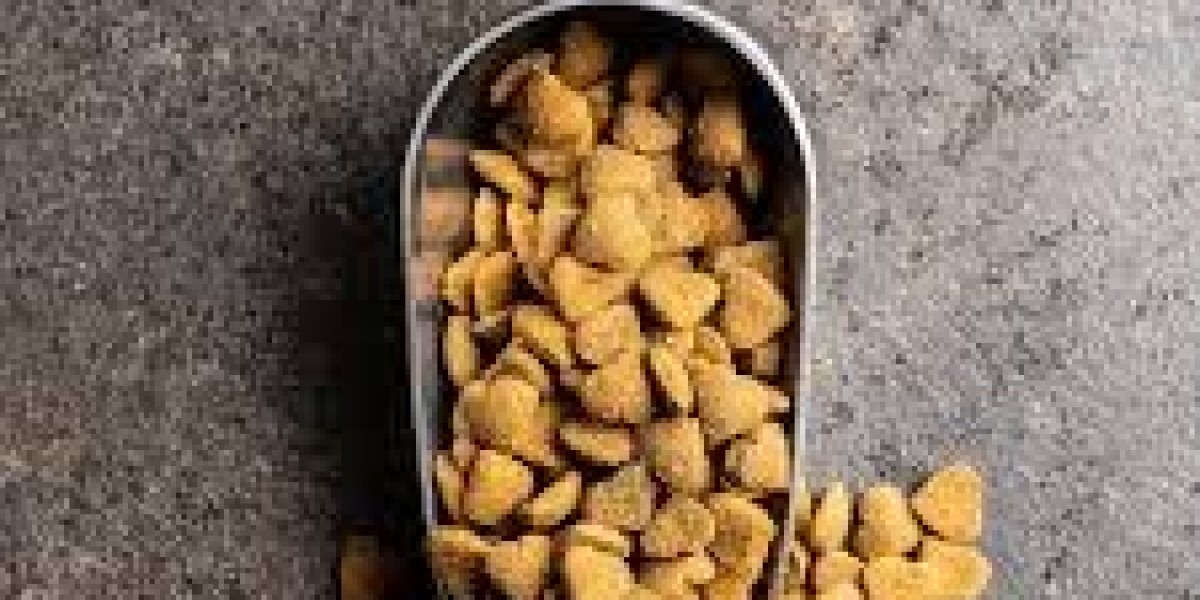 Pet Supplement Market insights focusing on premium products and organic supplement trends worldwide