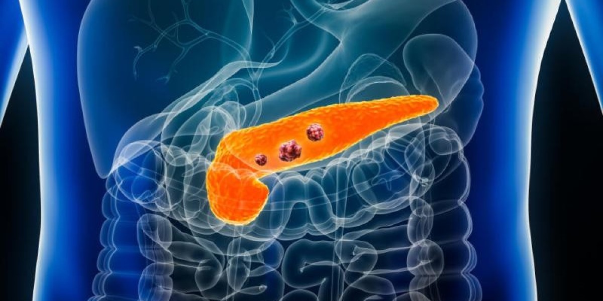 Pancreatin Industry Analysis: Key Drivers, Challenges, and Opportunities