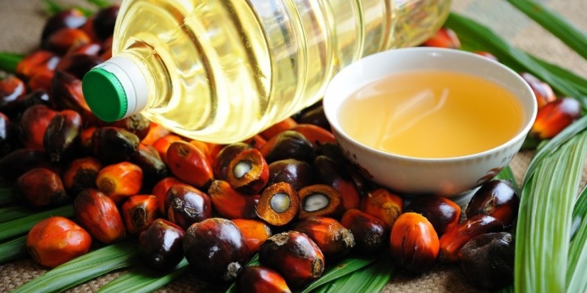 Colombia Palm Oil Market: Sustainability, Growth, and Future