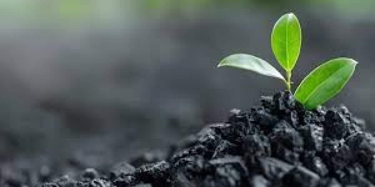 Biochar Market Growth Driven by Technology, Government Initiatives, and Industry Adoption