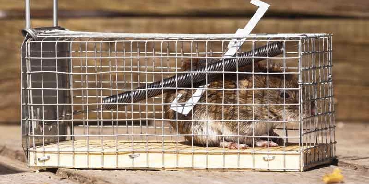 Protecting Your Property from Unwanted Animal Guests
