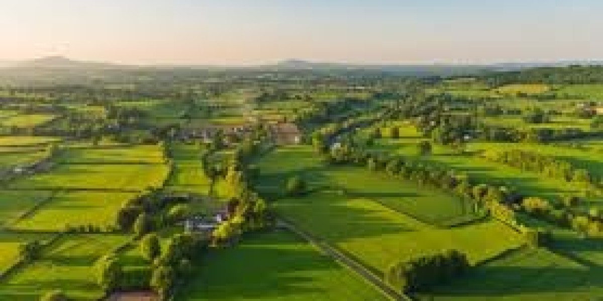 Vill Field's: A Rising Trend in Lifestyle Blogs