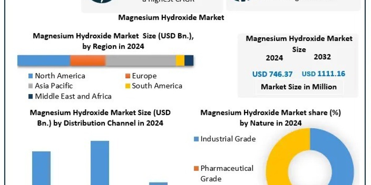 Magnesium Hydroxide Market Top Companies, Industry Overview and Forecast 2025–2032