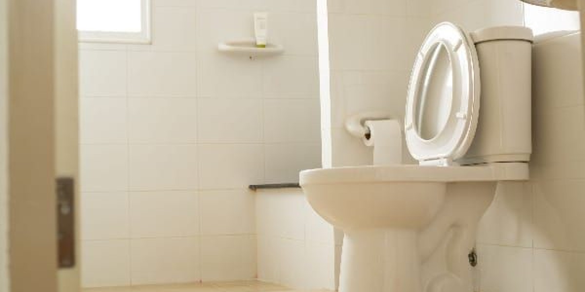 Smart and Sustainable Solutions Driving the Toilet Market