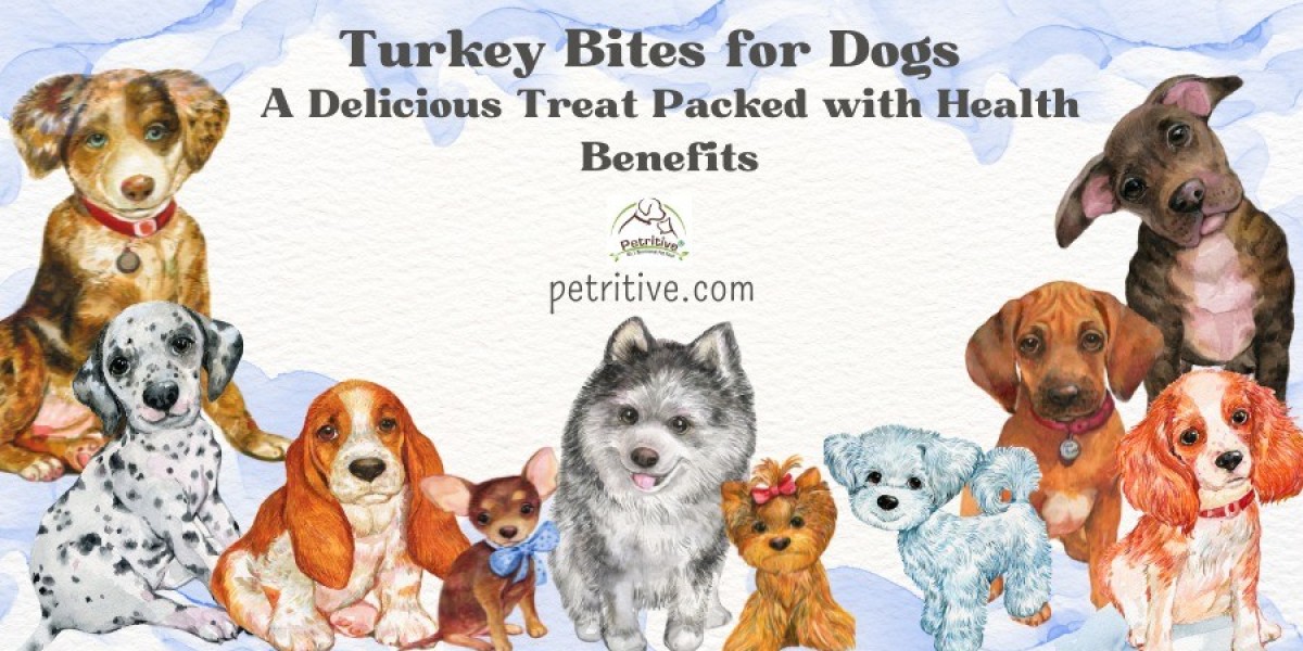 How to Choose the Best Dog Treats for Training