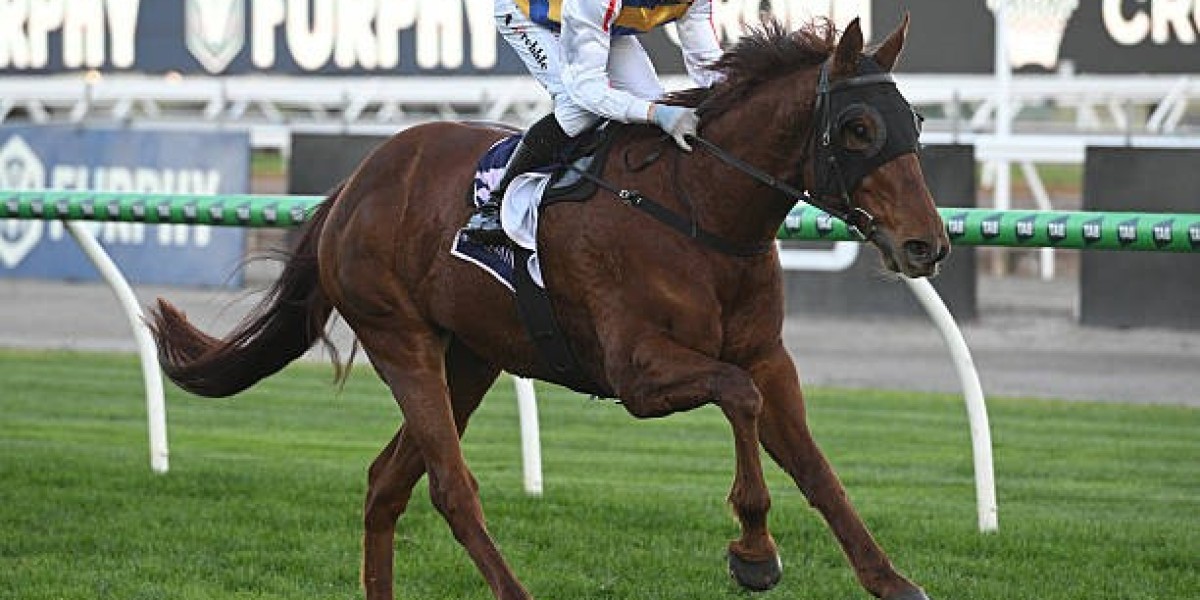 Understanding the Best Racing Tips Result: Caulfield for Smarter Betting