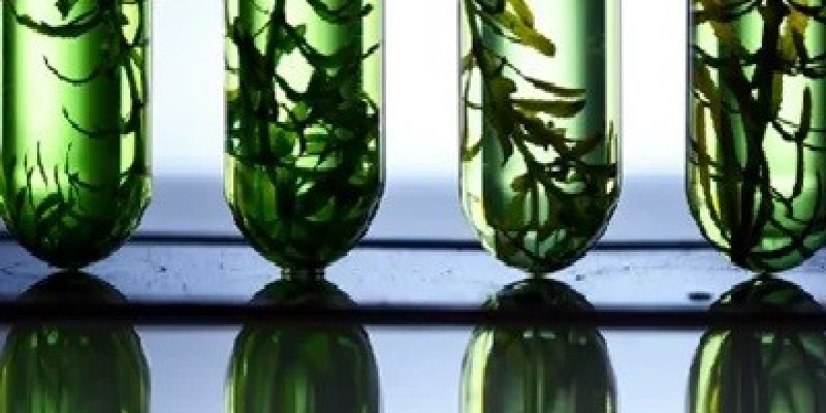 Liquid Biofuel Market Leading Competitors, Regional Trends and Growth Outlook by 2031