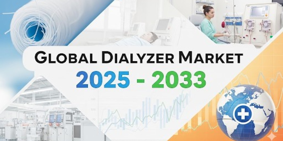 Global Dialyzer Market Analysis for 2025 – 2033