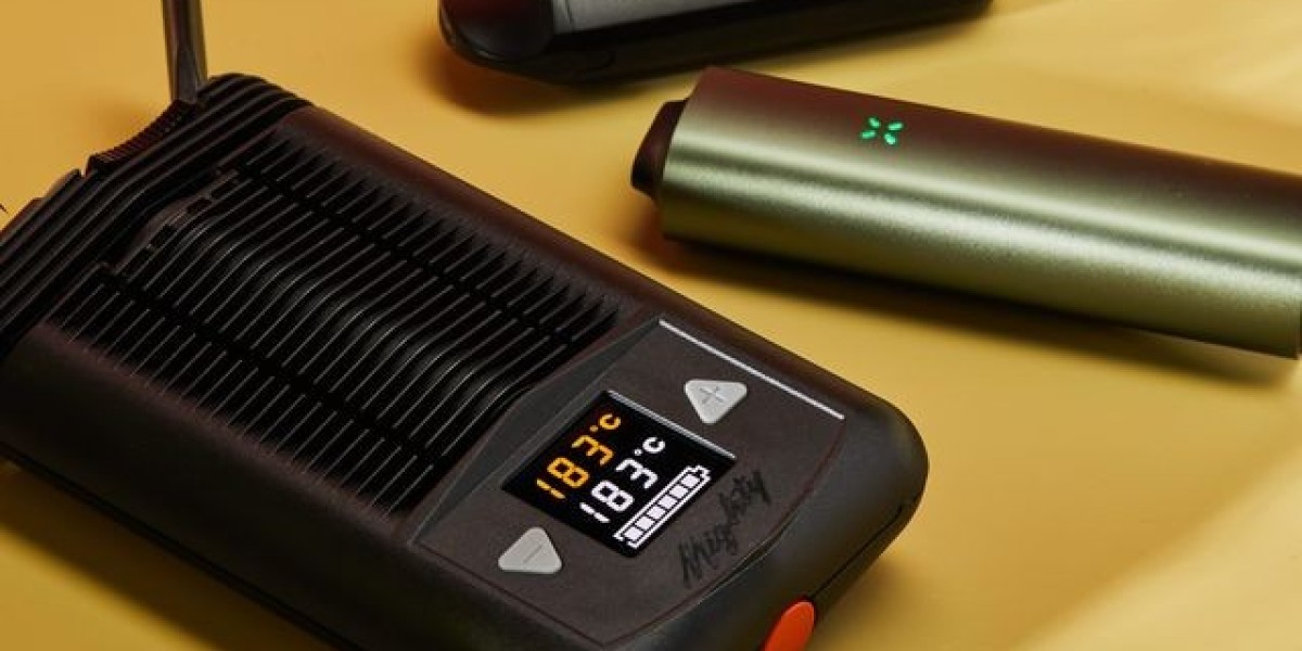 Consumer Preferences and Lifestyle Trends in the Handheld Marijuana Vaporizer Market