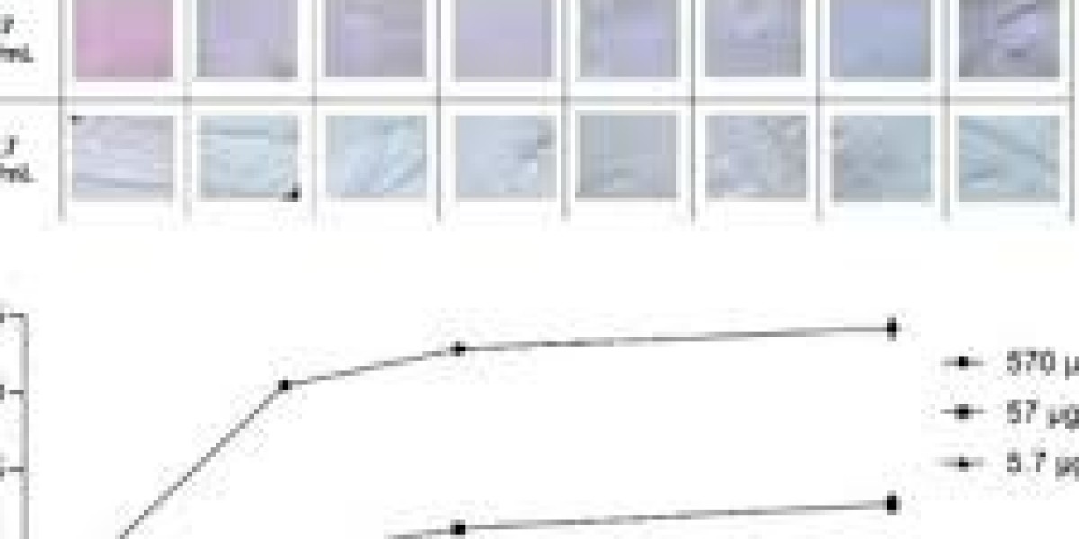 Colorimetric Indicator Label Market Forecast 2025-2030 Trends and Technological Advancements