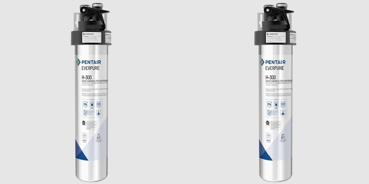 The Role of Everpure Water Systems in Commercial Kitchens