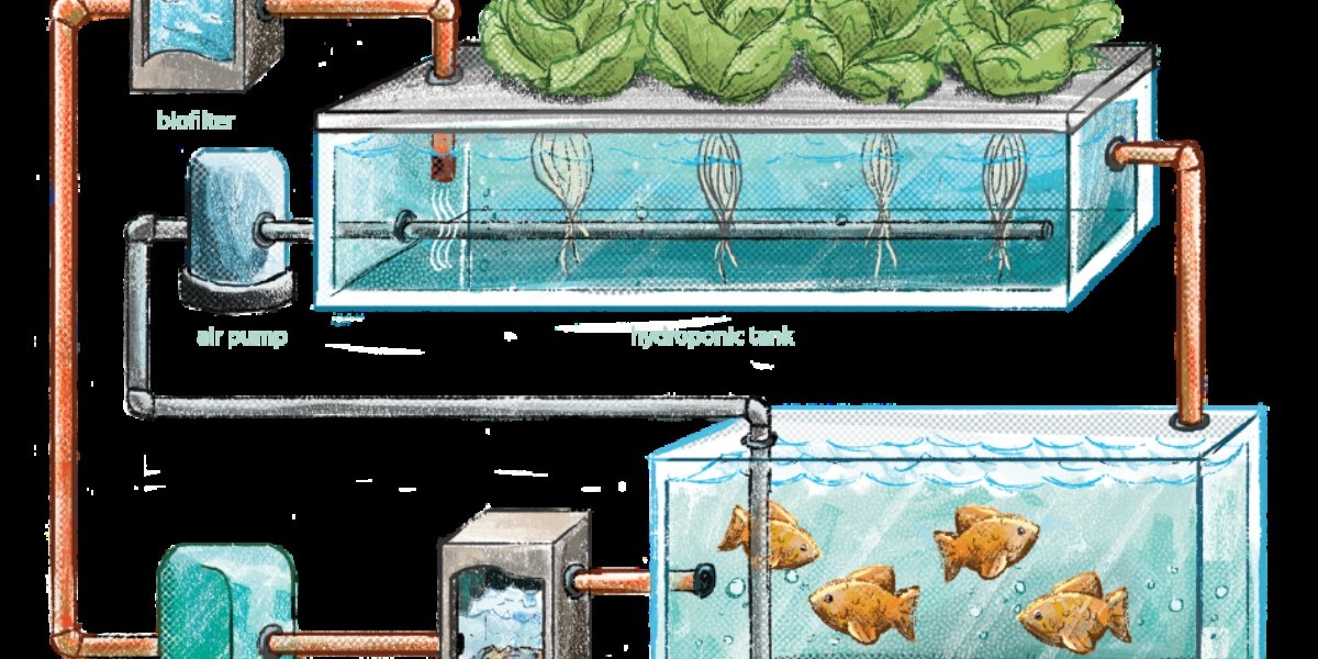 Aquaponics Market Detailed Strategies, Competitive Landscaping and Developments for next 5 years