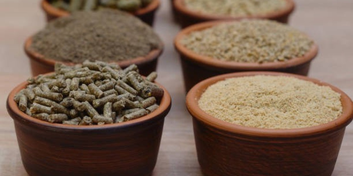 Exploring the Livestock Flooring Market: Trends, Challenges & Opportunities