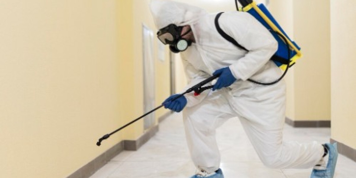 Top Pest Control Companies Las Vegas: Choosing the Right Service for Your Home