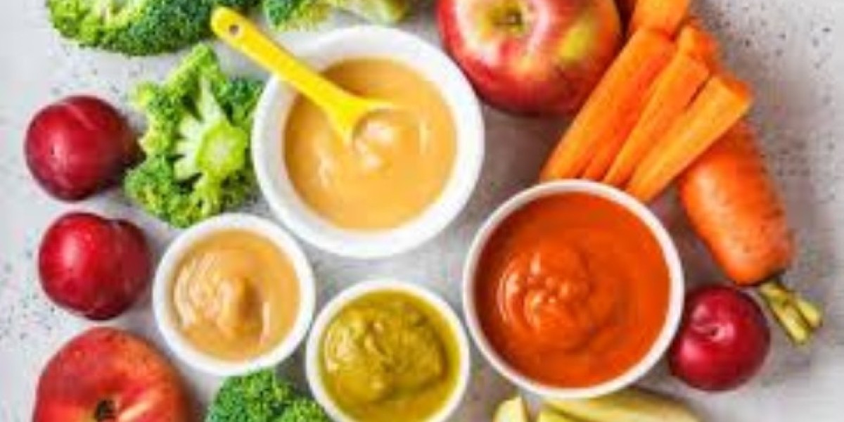 North America Organic Baby Food Market Size, Share & Trends Forecast 2025-2033