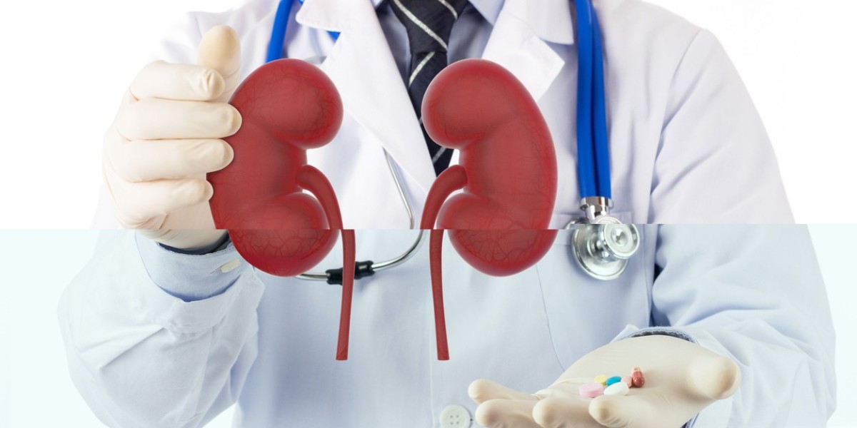 A Closer Look at Advancements in Kidney Disease Treatment