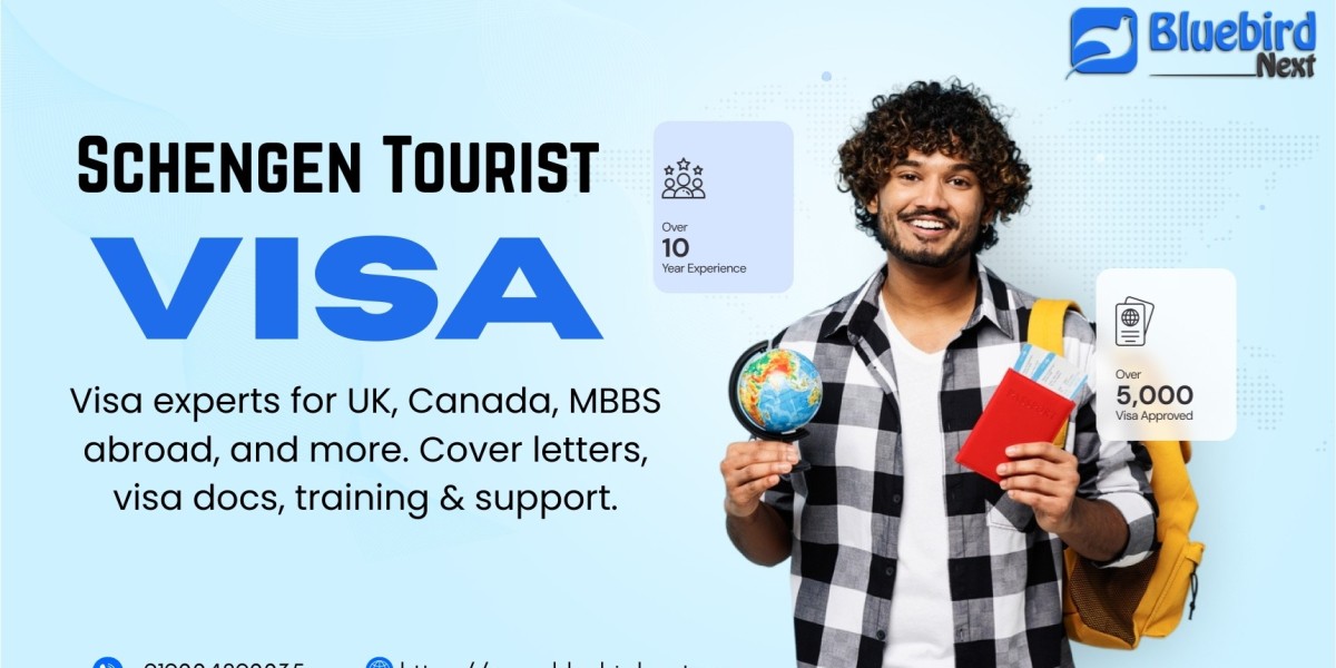 How to Simplify Your Visa Journey with Bluebird Next