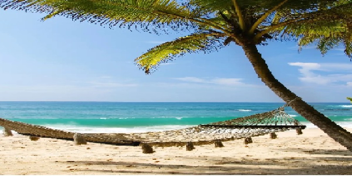 Discover the Ultimate African Escape: From Thrilling Safaris to Serene Shores