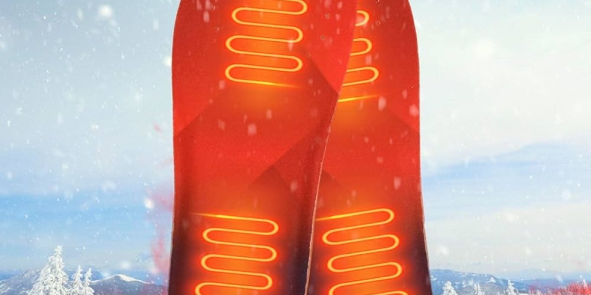 Heated Inner Sole Market to See Major Growth by 2032 | Milwaukeetool, Venture, Harley-davidson